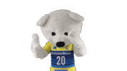 Volleyball Sticker by Draisma Dynamo