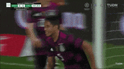 Liga Mx Football GIF by MiSelecciónMX