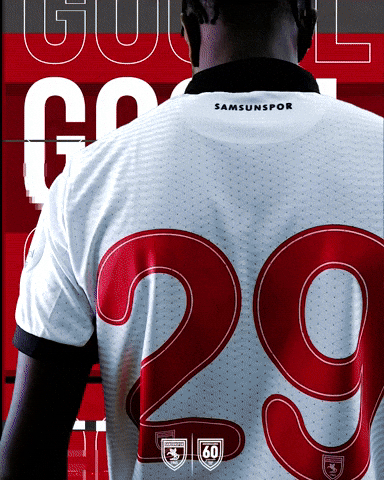 King Of The North GIF by SAMSUNSPOR