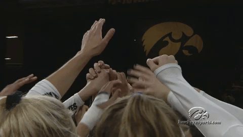 volleyball GIF by University of Iowa Hawkeyes Athletics