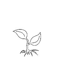 Orange Grow Sticker by Incubator Studio