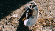 what the price GIF by Migos