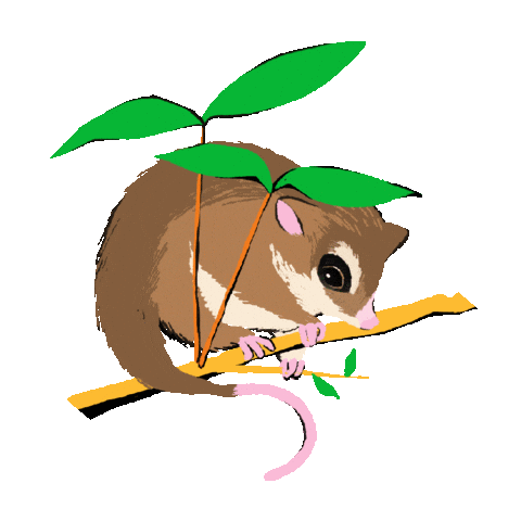 Mouse Rat Sticker by WWF Chile