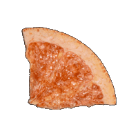 citreve grapefruit citreve freezedriedgrapefruit citrevegrapefruit Sticker