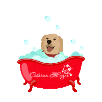 Happy Sticker by Собачья Жизнь