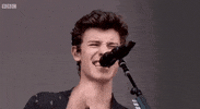 shawn mendes big weekend 2017 GIF by BBC Radio 1’s Big Weekend