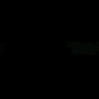 tailwagginuae tailwaggin GIF