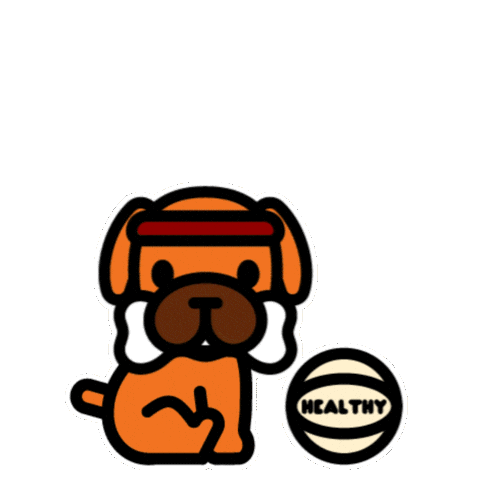 Boxer Dog Sport Sticker