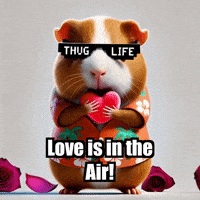 Valentines Day Love GIF by Guinea Gambino