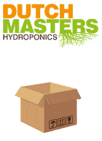 Dutch_Masters delivery spain europe espana Sticker