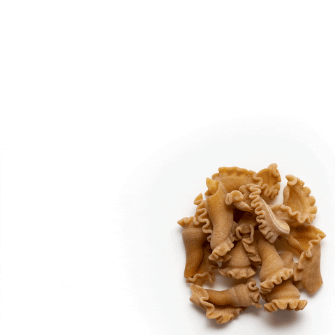 phelpslipton giphyupload GIF