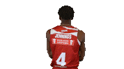 Sport Basketball Sticker by Basket_fi