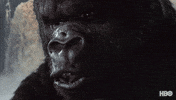 King Kong Vintage GIF by Max