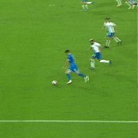 Football Футбол GIF by FC Dynamo Moscow