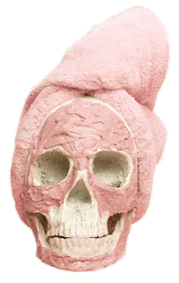 mazevisuals beauty skincare skull dead Sticker