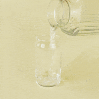 GIF by Craft Tea Fox