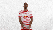Football What GIF by RB Leipzig