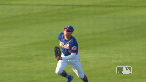 Ny Mets Baseball GIF by New York Mets