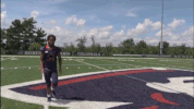 rmuathletics rmu robert morris robert morris university GIF