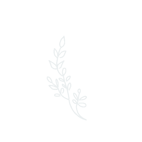 Plant Doodle Sticker