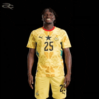Fifa World Cup Ghana GIF by Respective