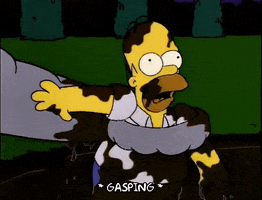 homer simpson GIF