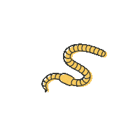 wonderofsoil soil earthworm wonderofsoil fortheloveofsoil Sticker