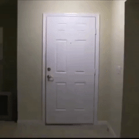 Big Bird Door GIF by madmoiZelle