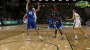 Ward GIF by NDSU Athletics