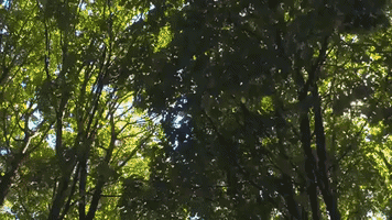 GIF by Tourism Vancouver