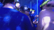 Celebrate Blue Jays GIF by Toronto Blue Jays