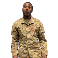 Us Army Wow Sticker by GoArmy