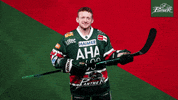 Del Pureemotion GIF by Augsburger Panther Eishockey GmbH