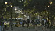 Texas Am Campus GIF by Texas A&M University