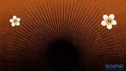 Fitness Health GIF by RENPHO