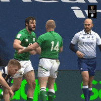 Irish Rugby GIF by Guinness Six Nations