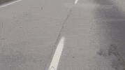 Film 80S GIF