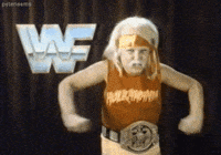 Pro Wrestling 80S GIF