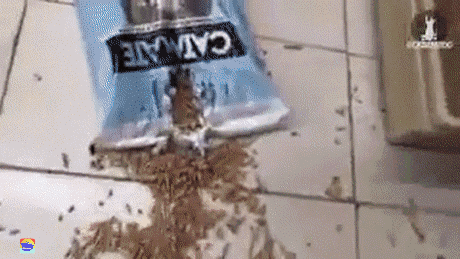mood GIF