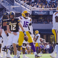Ncaa Football GIF by LSU Tigers