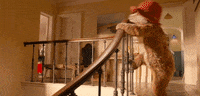 wake up fun GIF by Paddington Bear