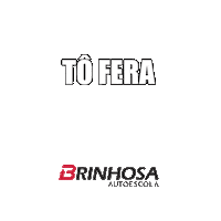 Santa Catarina Rain Sticker by Autoescola Brinhosa