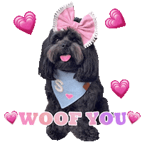In Love Sticker by Pimp Yo Pets