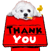 Love You Sticker by Pimp Yo Pets