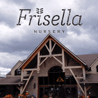 frisellanursery mo stl missouri defiance GIF