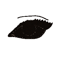 daisyhopebirchenough eye nothankyou littlesimz eyeswide Sticker