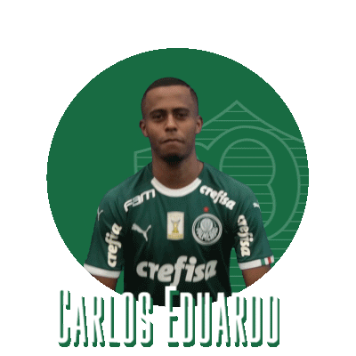 carlos eduardo thumbs up Sticker by SE Palmeiras