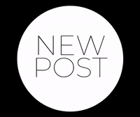 taylaclarke taylaclarkeva tcva taylaclarke GIF