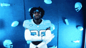 North Carolina No GIF by UNC Tar Heels