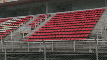 redbullracing 2019 f1 barcelona mv GIF